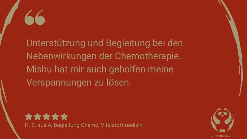 2026_rezension_hs_chemobegleitung